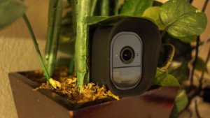 Arlo hidden hot sale cameras