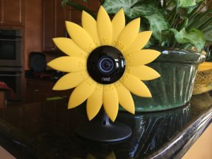 Creative ways to store hide security cameras