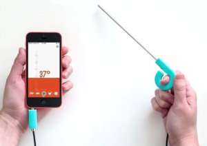 range smart thermometer