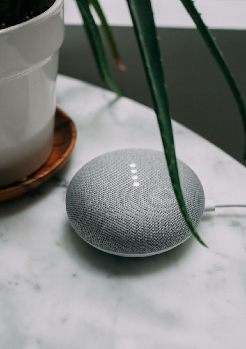 google home